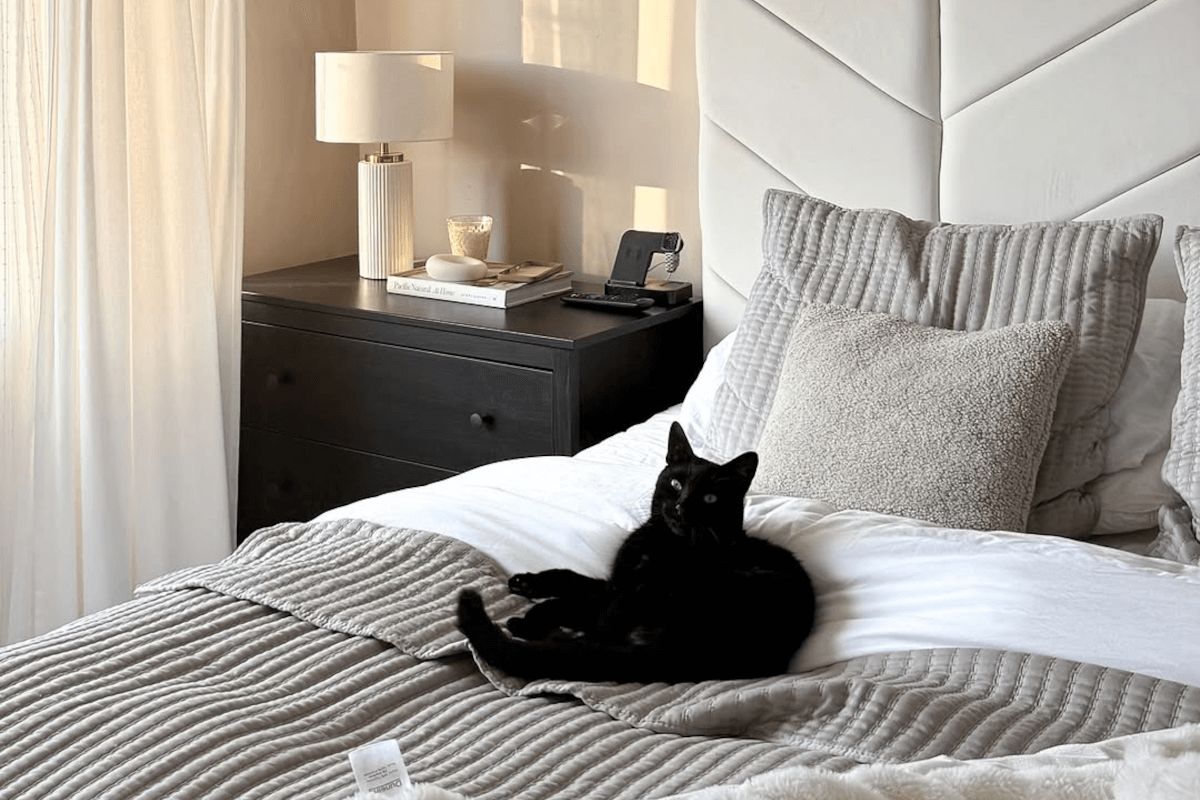 Cosy minimalist home styling ideas