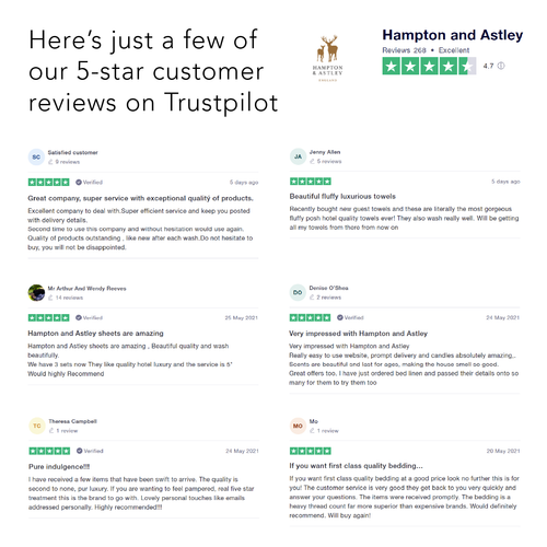 Excellent Trust Pilot Reviews