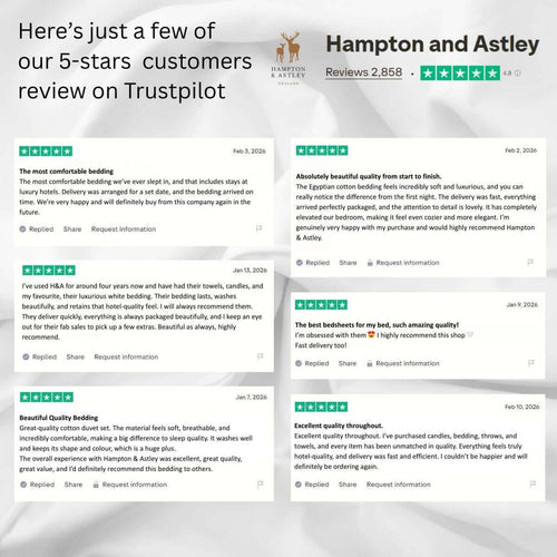 Excellent Trustpilot reviews