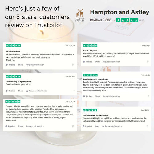 Excellent Trustpilot reviews