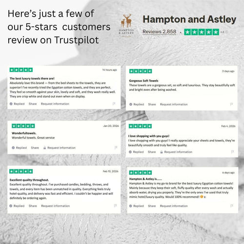 Excellent Trustpilot reviews